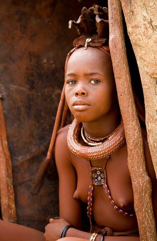 african damsel photo